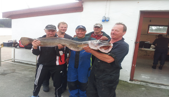 Panorama Konferansehotell