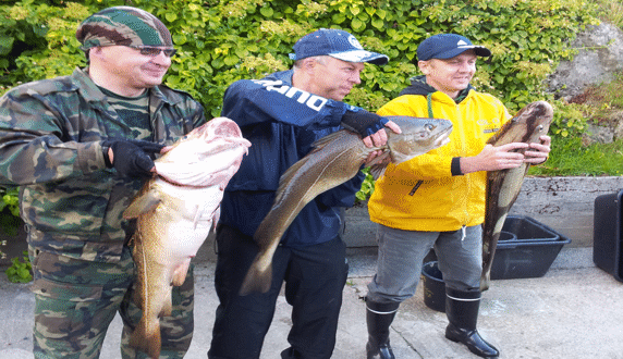 Panorama Konferansehotell