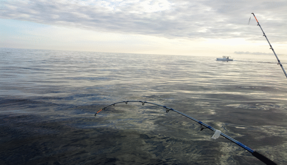 Fishing in Norway,Rybalka in Norway