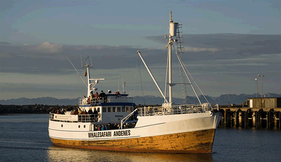 Китовое сафари