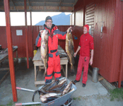 Fishing in Senja