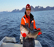 Fishing in Senja