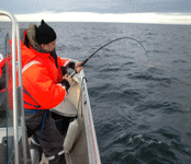 fishing in Norway