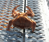 Fishing in Norway,Rybalka in Norway