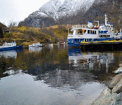 Fishing in Norway,Rybalka in Norway