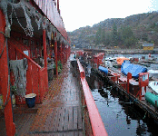 Fishing in Norway,Rybalka in Norway