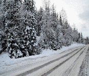 Fishing in Norway,Rybalka in Norway